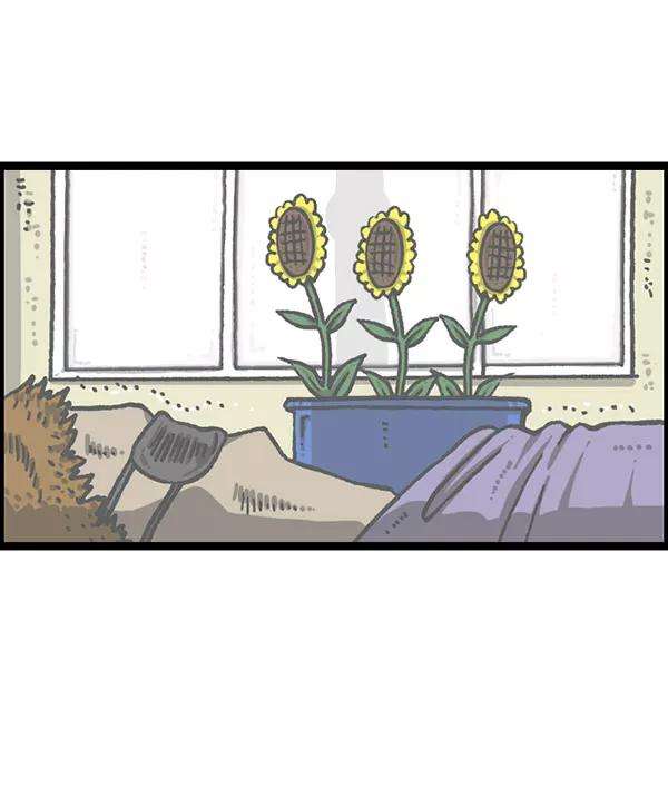 最快更新的心灵的声音第1199话 极昼