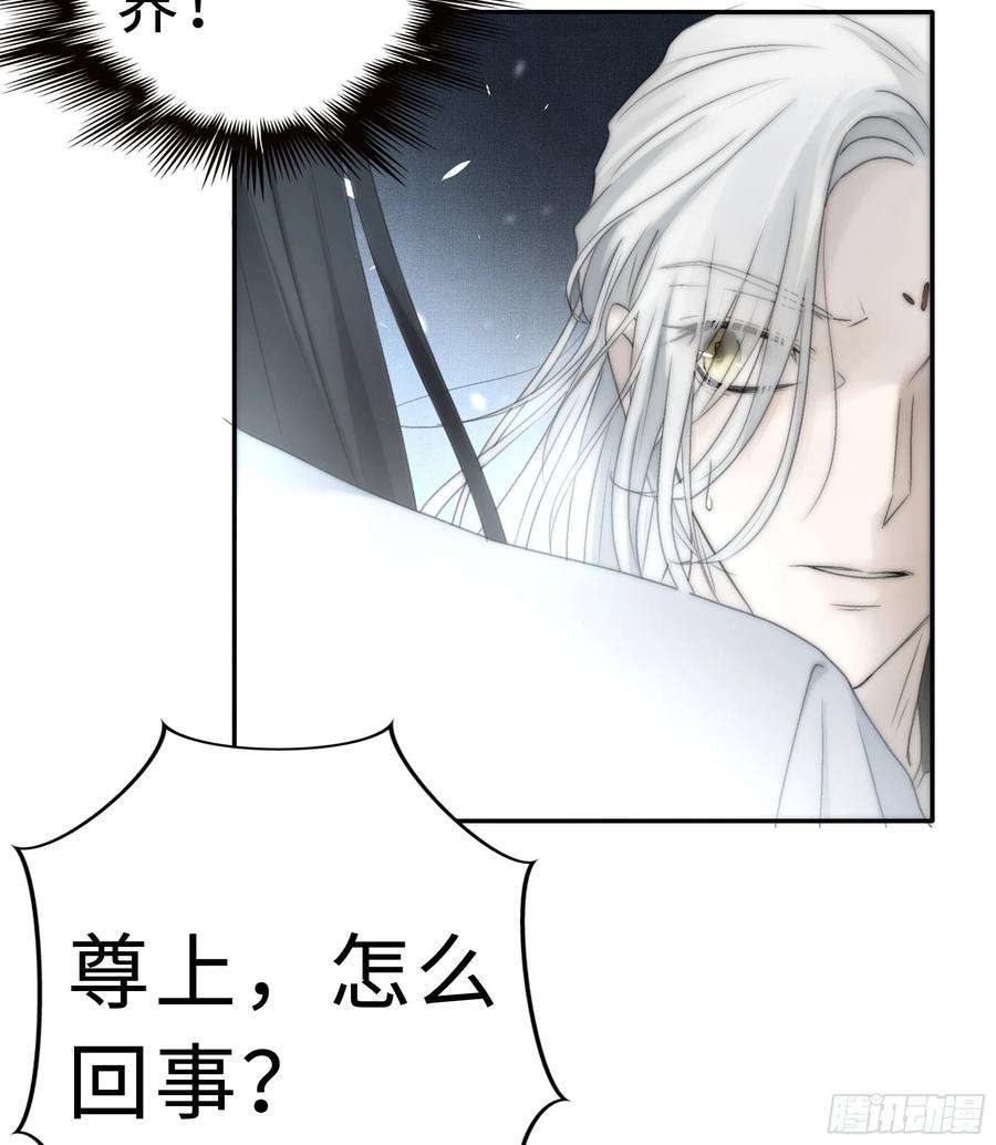 月坠重明尊上在为公主隐瞒什么？