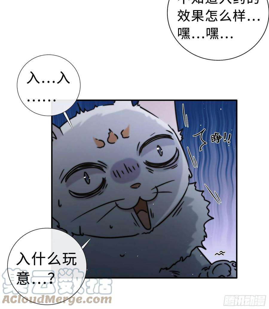 月坠重明公主和尊上生疏了？