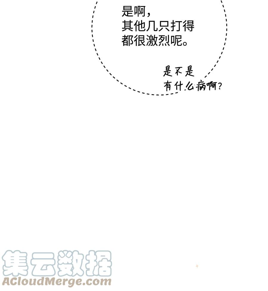 这一局，本小姐必定拿下17 魔兽赛跑