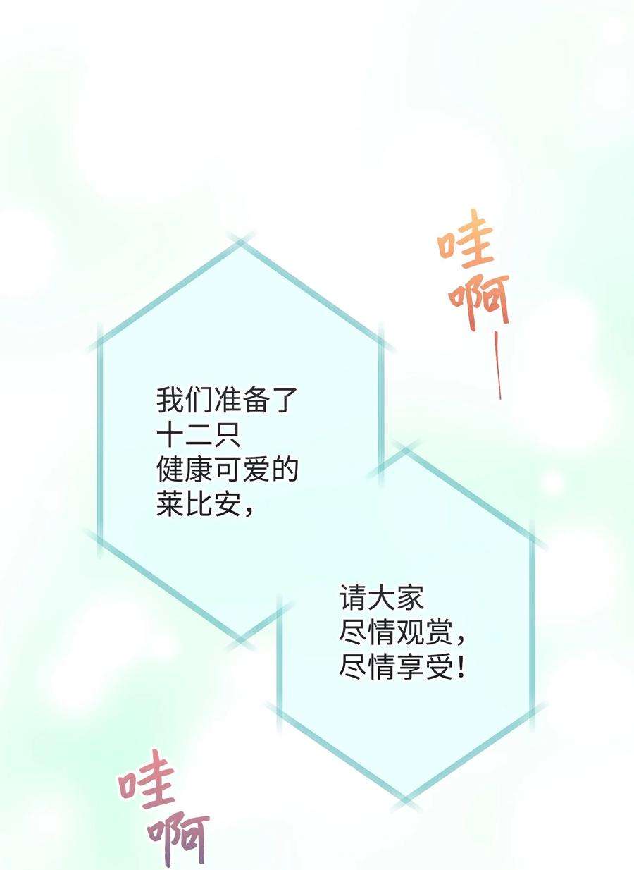这一局，本小姐必定拿下17 魔兽赛跑