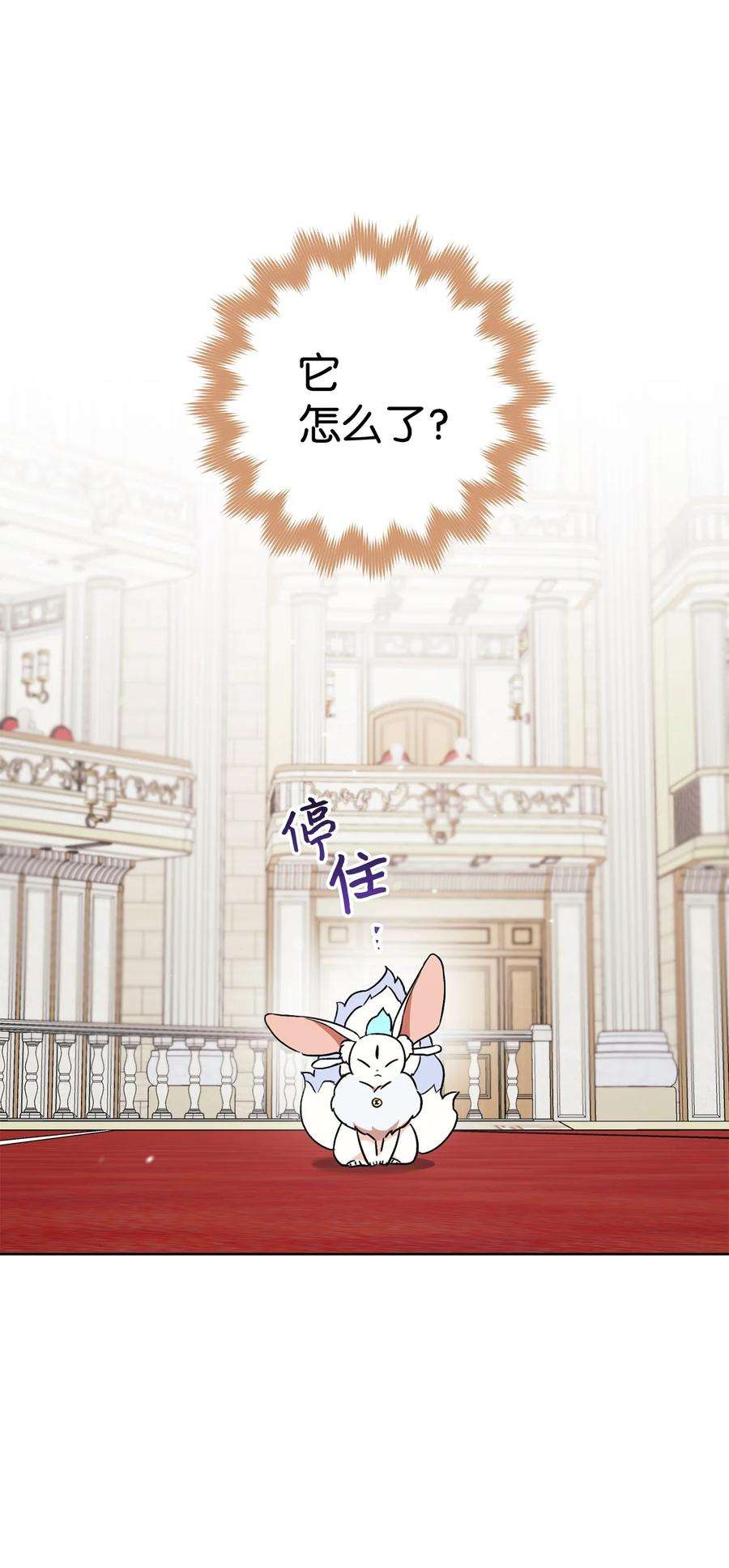 这一局，本小姐必定拿下17 魔兽赛跑
