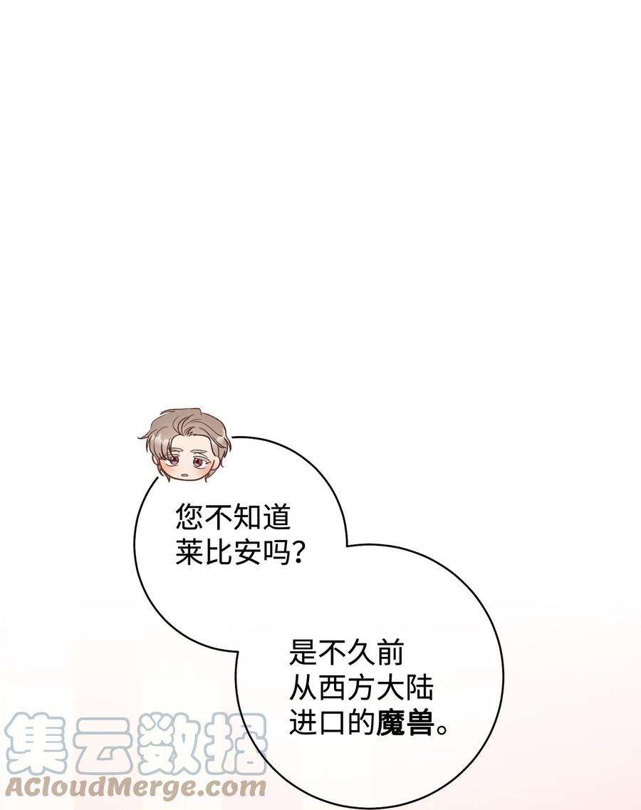 这一局，本小姐必定拿下17 魔兽赛跑
