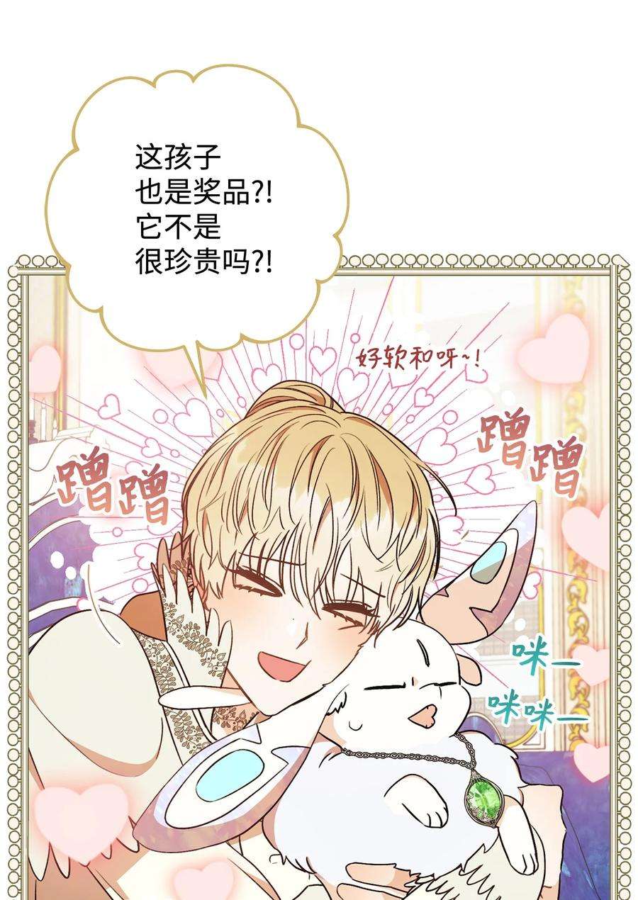 这一局，本小姐必定拿下20 追踪魔法