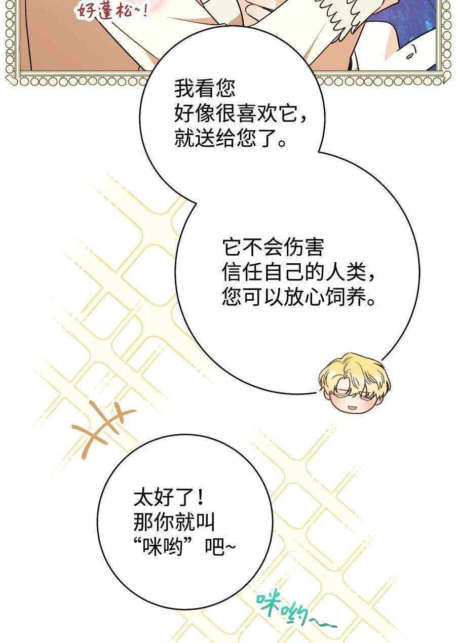 这一局，本小姐必定拿下20 追踪魔法