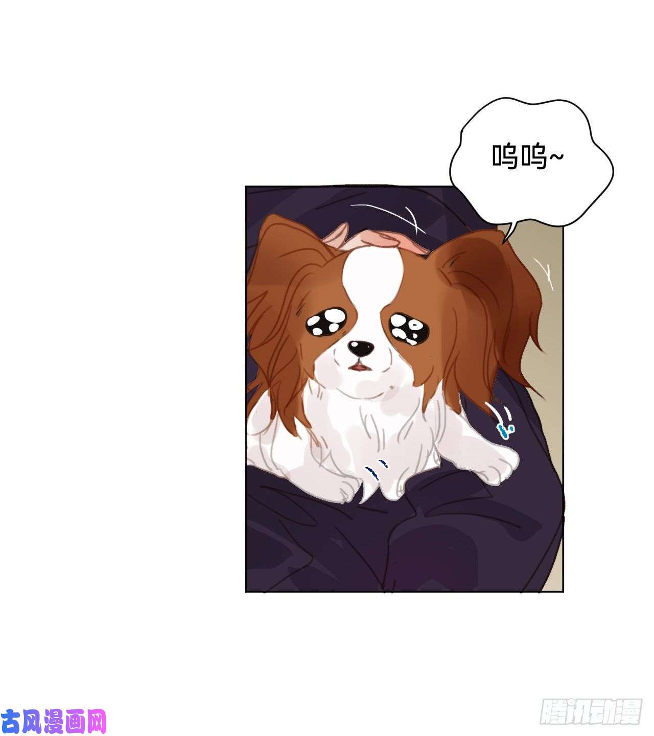 不健全关系百卒戏傩·后编19