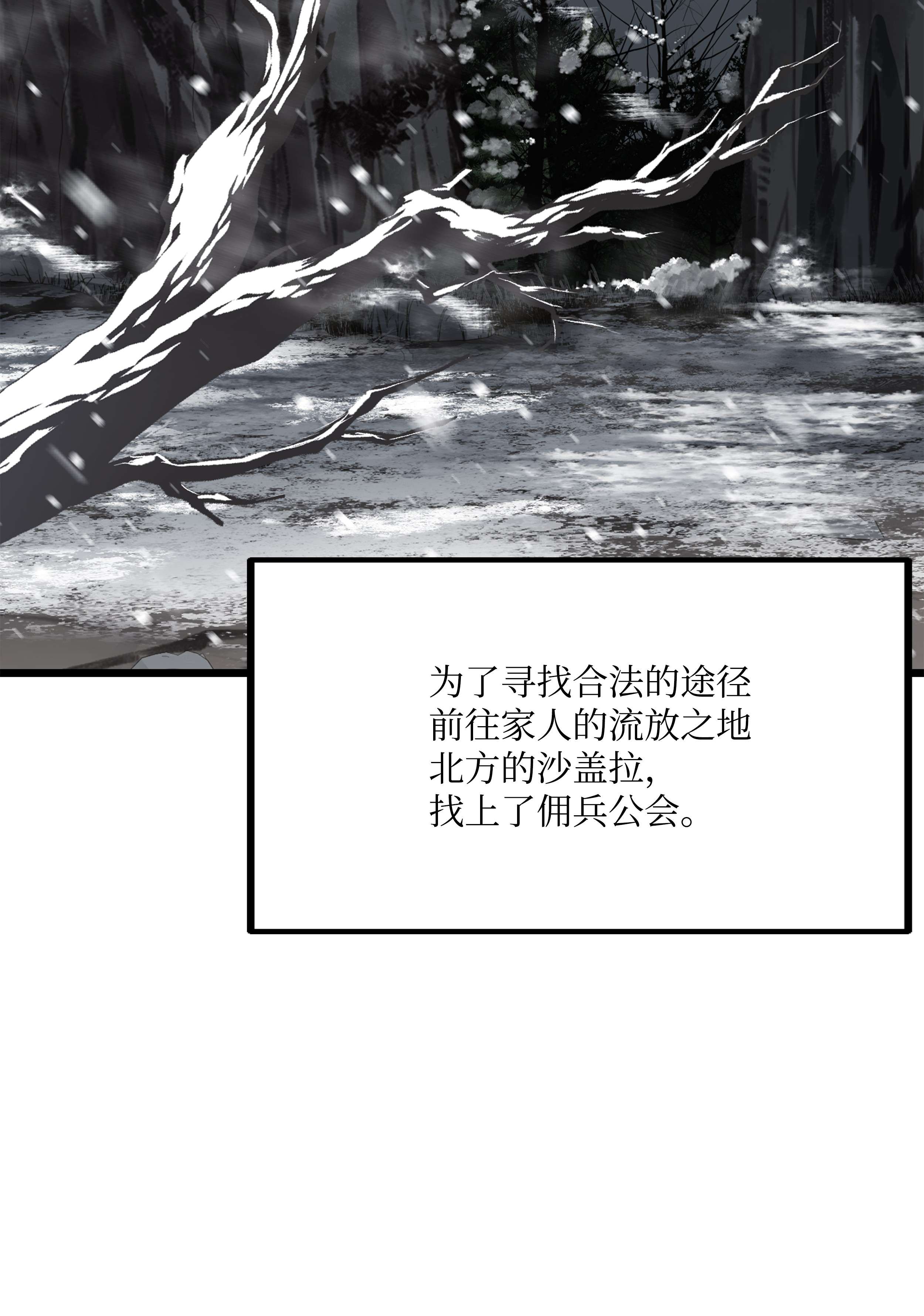 8级魔法师的重生61 成为雇佣兵