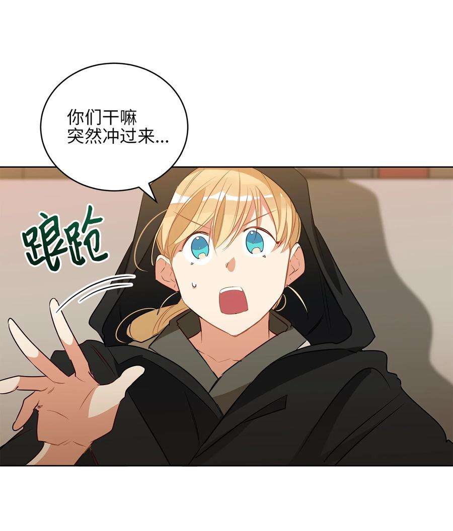 野兽太子太会撩64 金发碧眼的神秘男子
