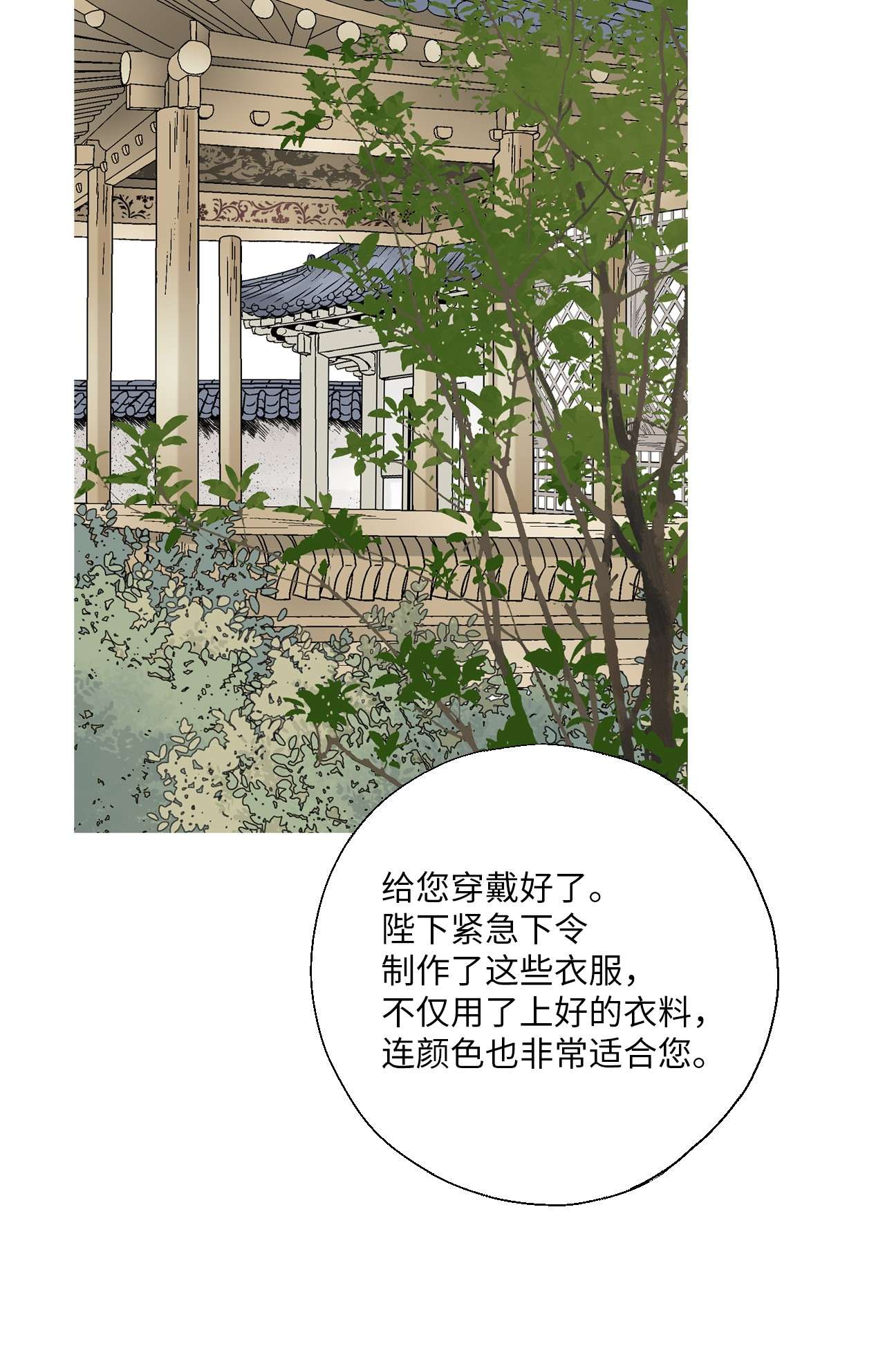 花雨谣69 深厚羁绊