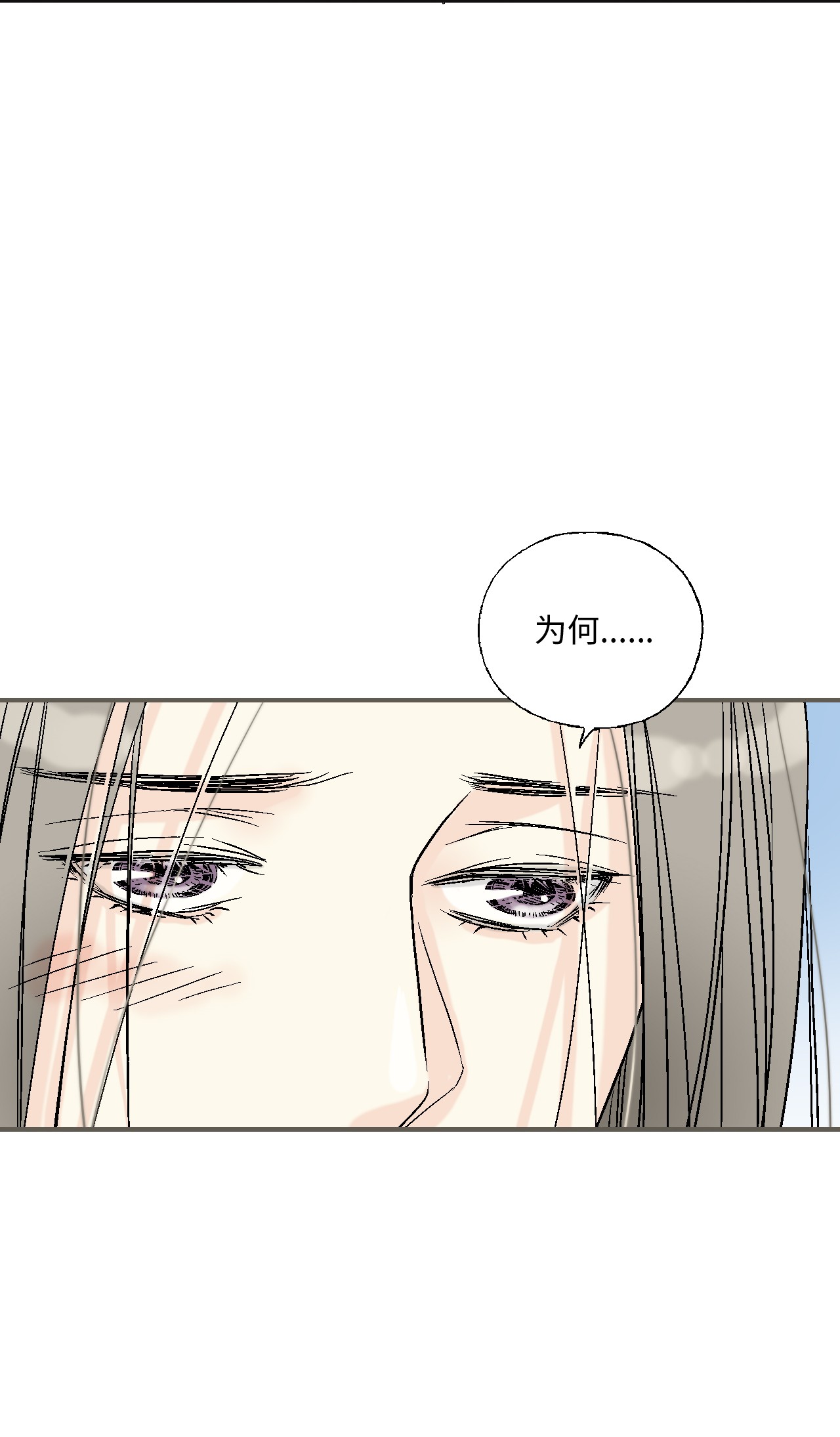 花雨谣81 王的决定
