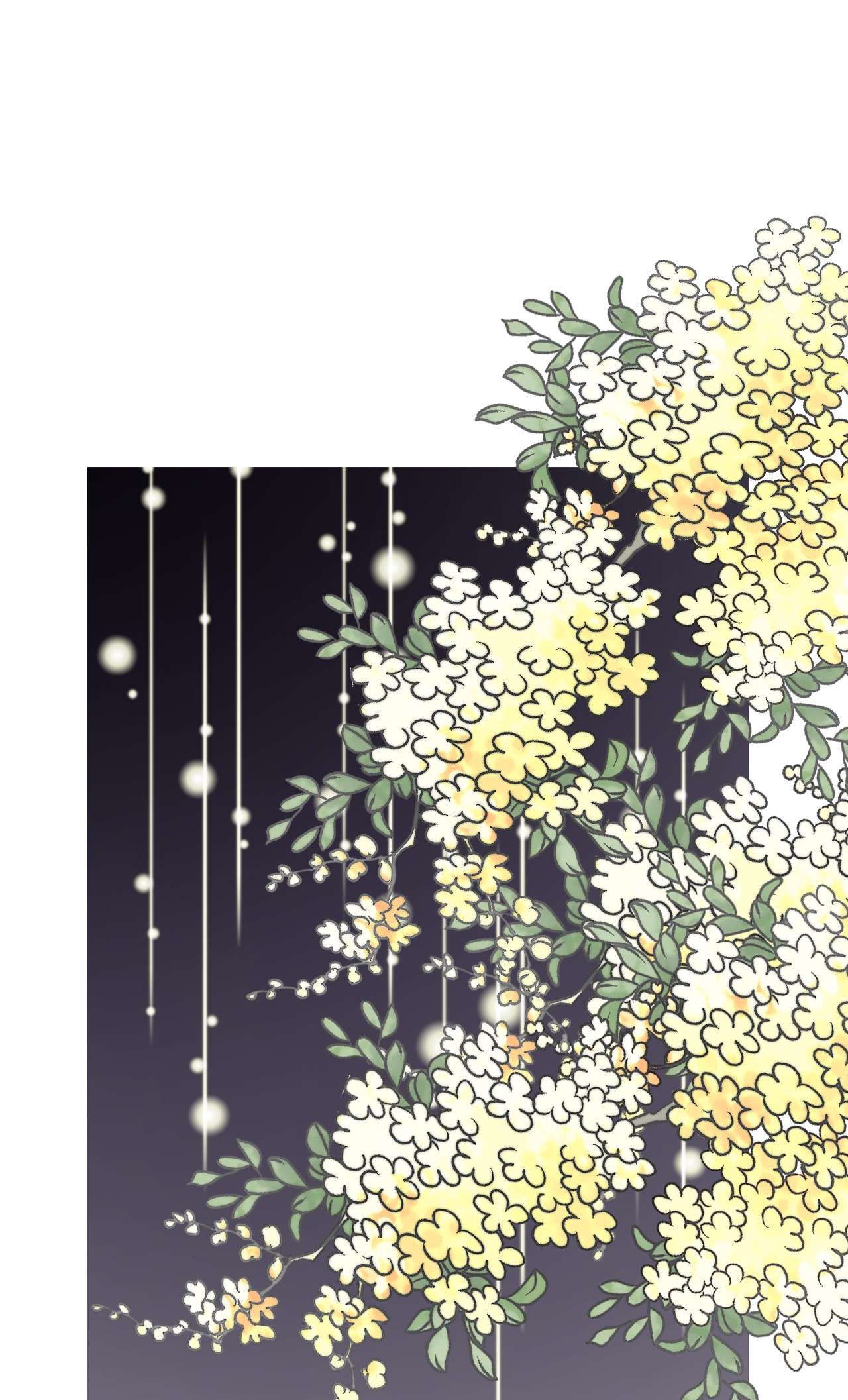 花雨谣81 王的决定