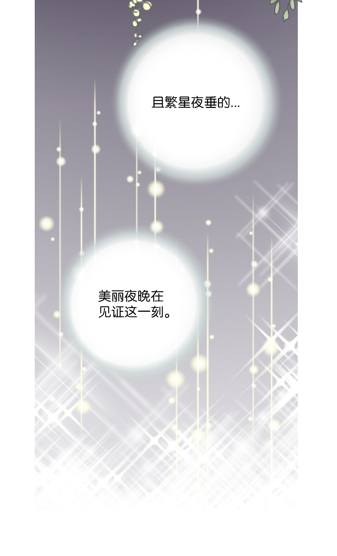 花雨谣81 王的决定