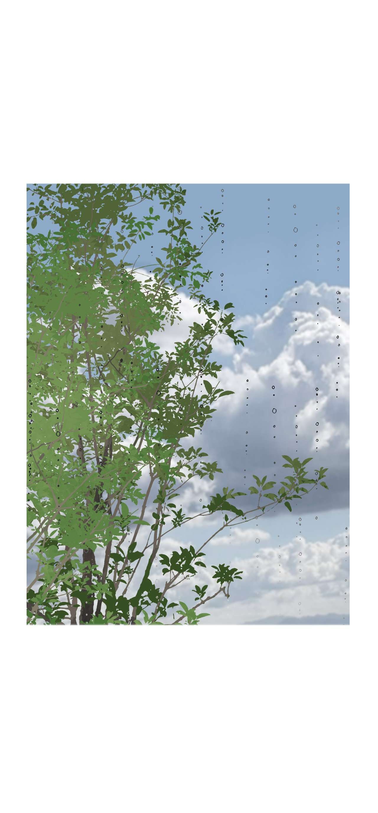 花雨谣83 雨中美乐