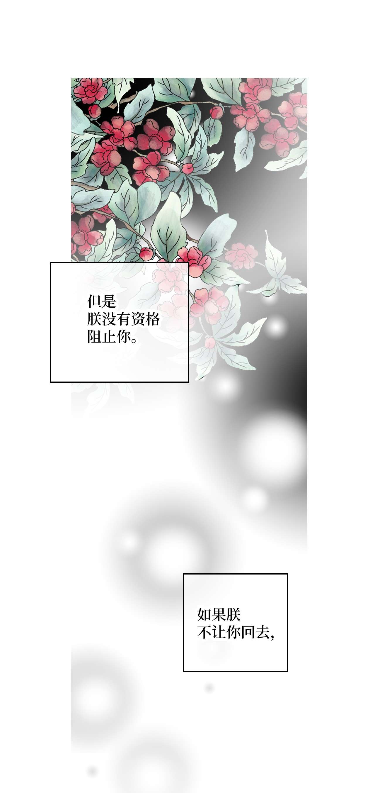 花雨谣88 王的决意