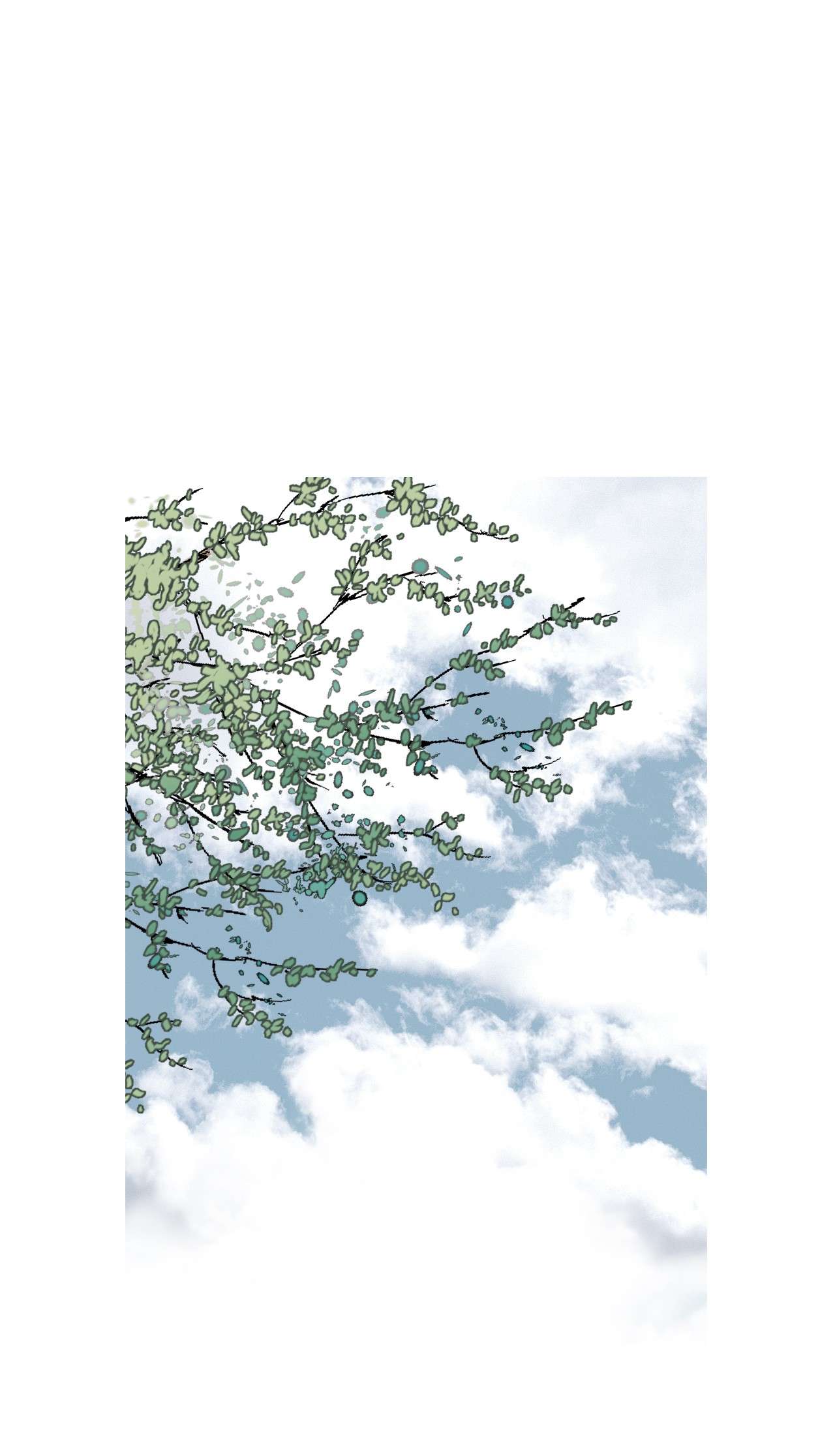 花雨谣89 公主病情