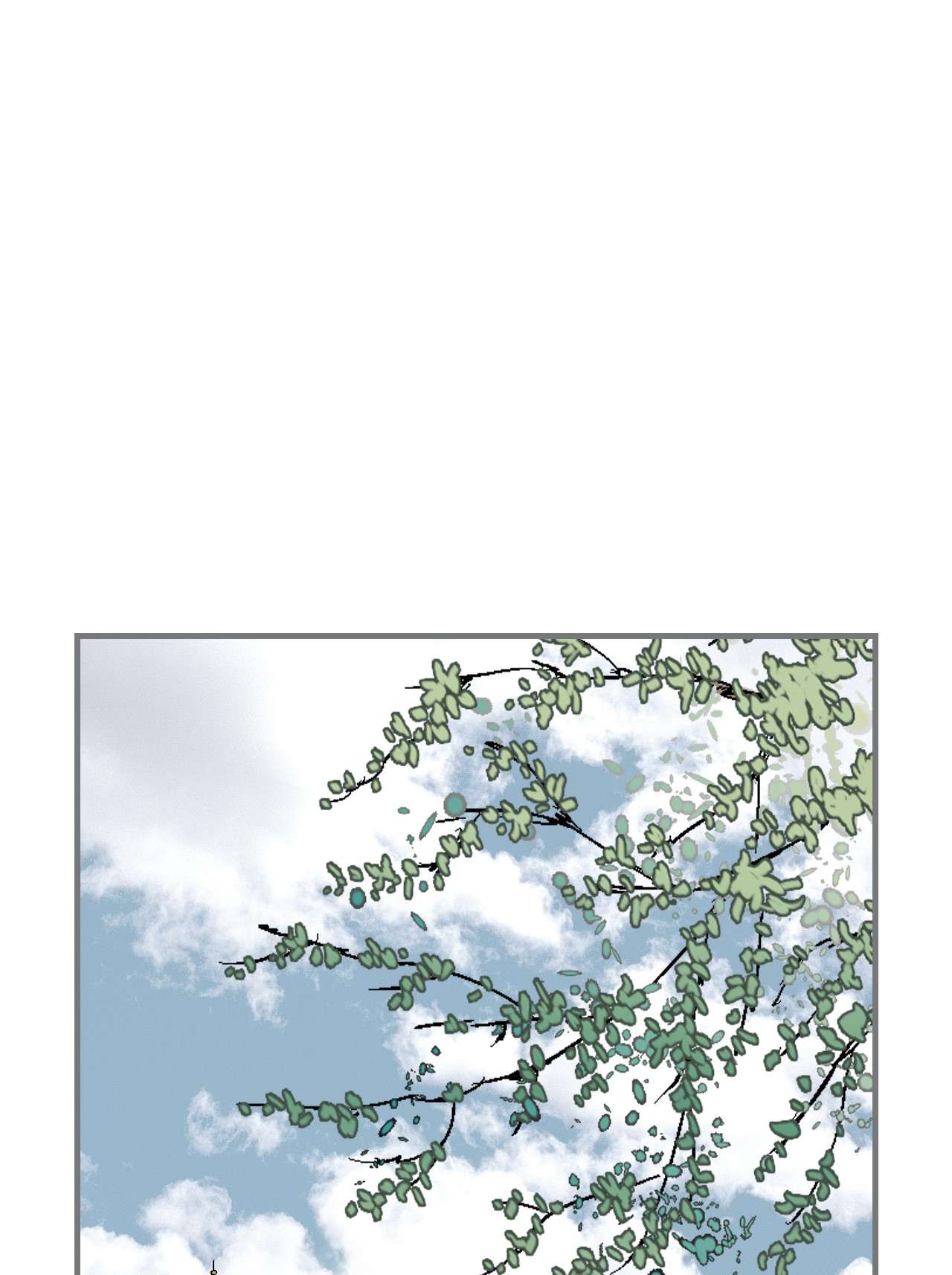 花雨谣90 阴阳两隔