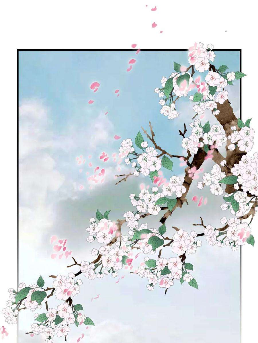 花雨谣02 陈年往事