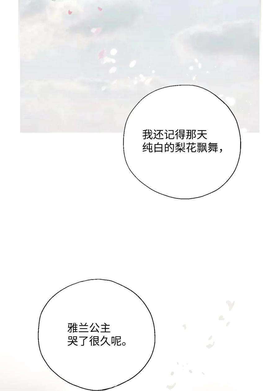 花雨谣02 陈年往事