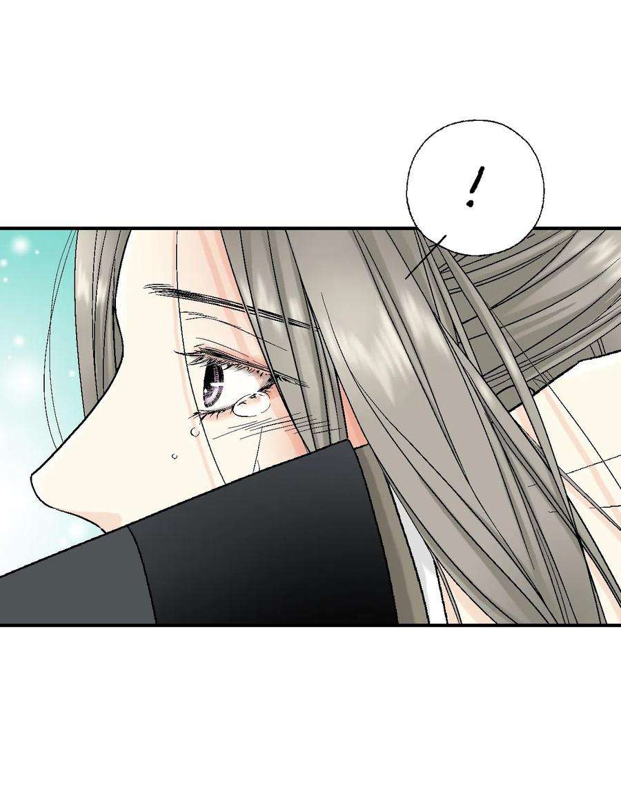 花雨谣13 梨花带雨
