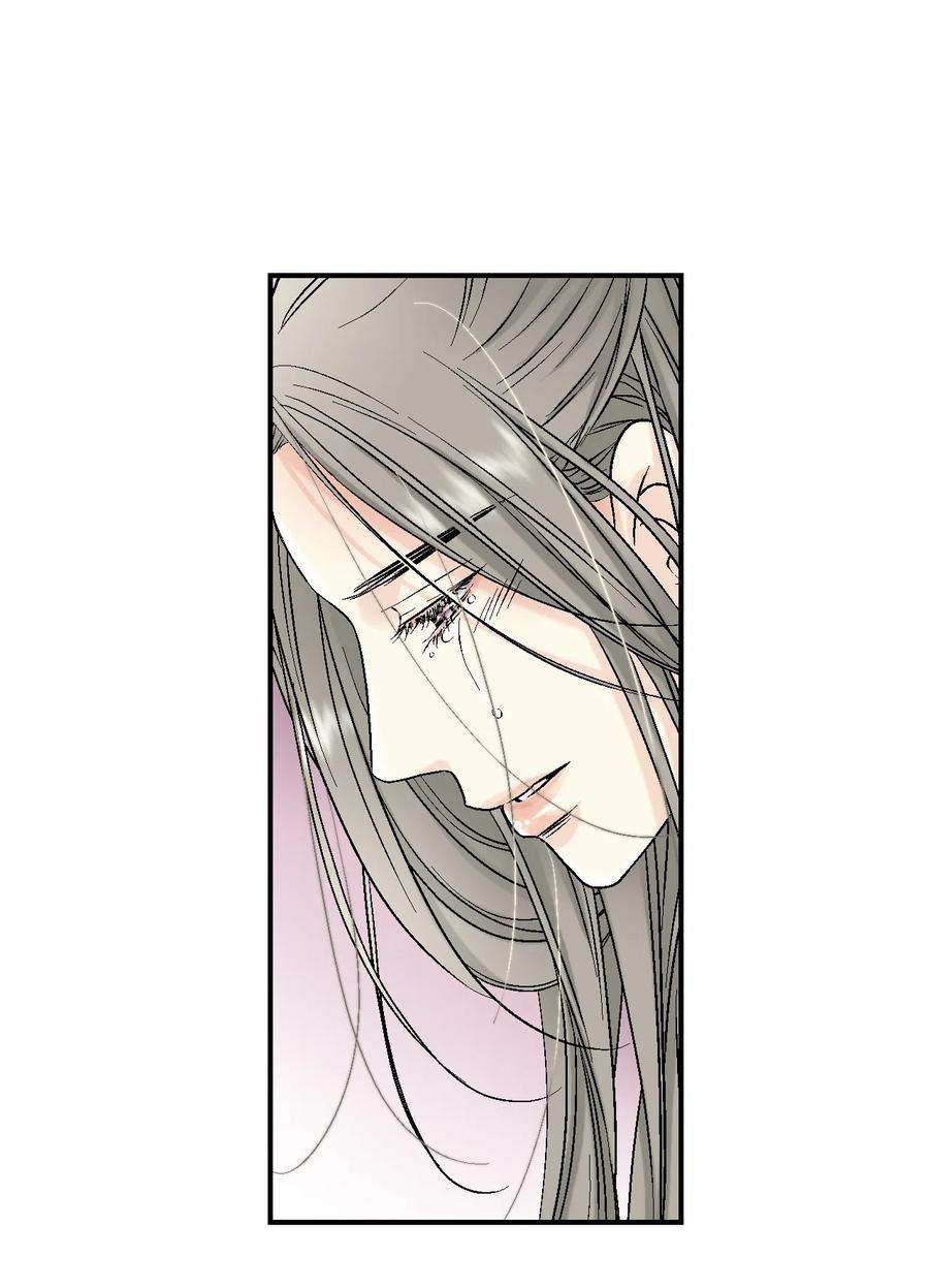 花雨谣13 梨花带雨