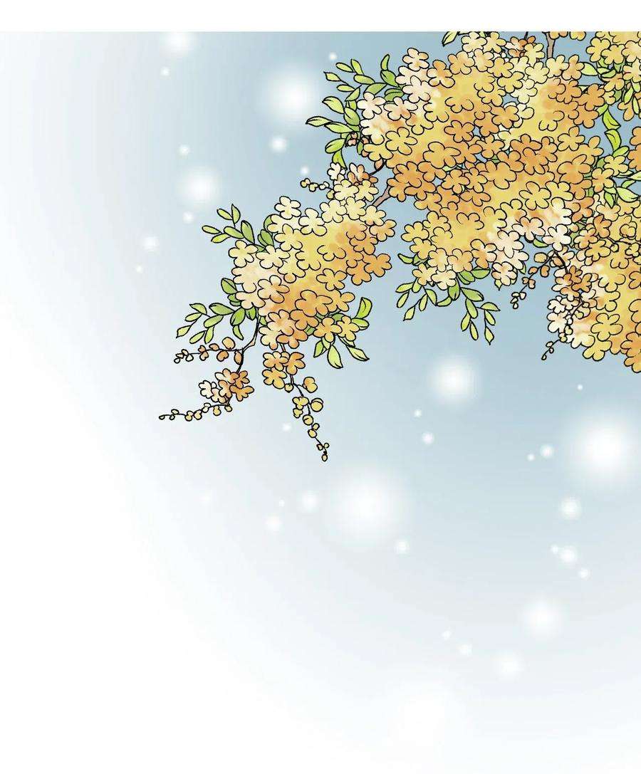 花雨谣15 阴谋诡计