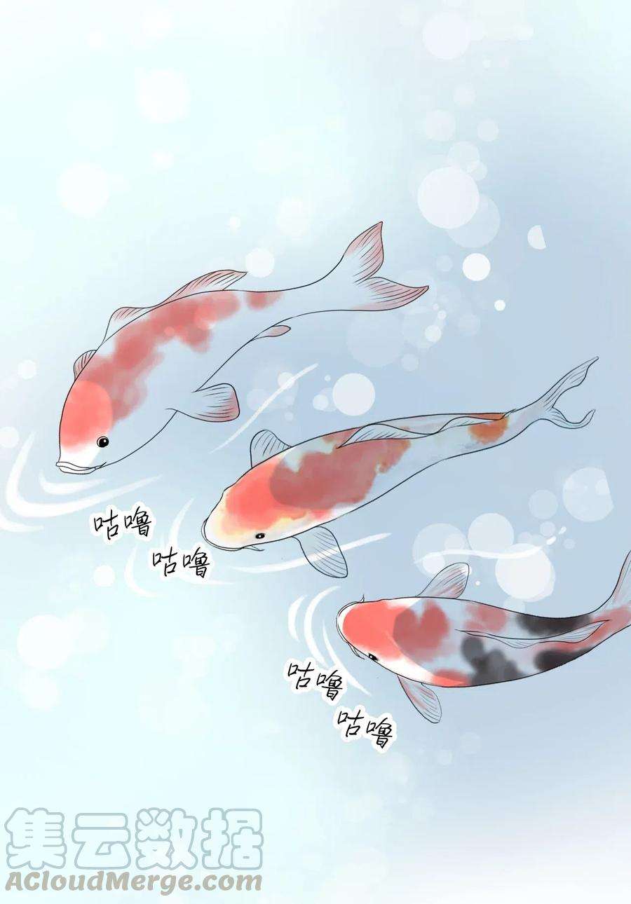 花雨谣27 不吐不快