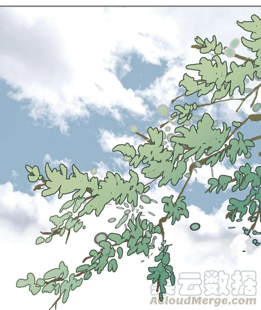 花雨谣34 新的头带