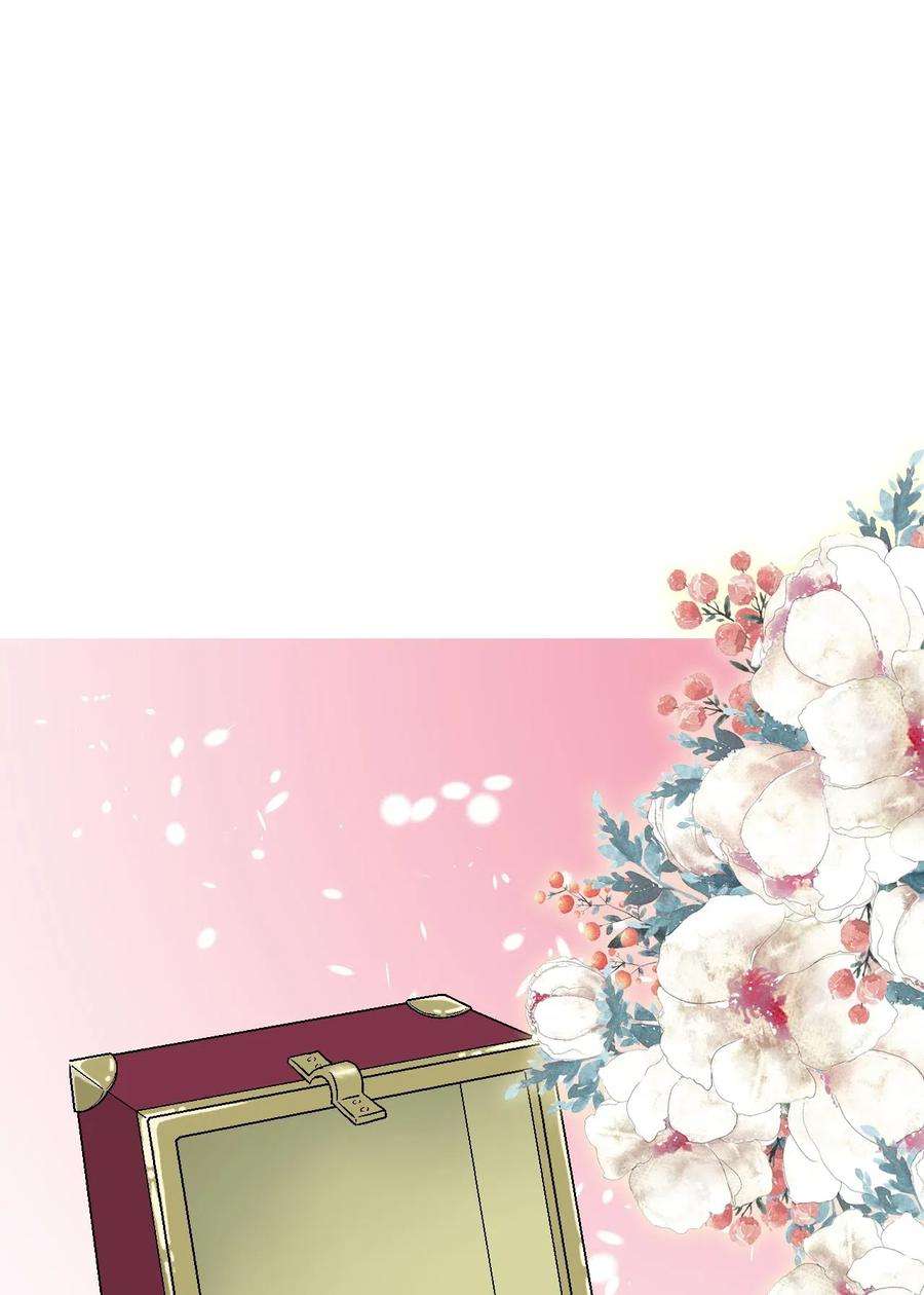 花雨谣34 新的头带