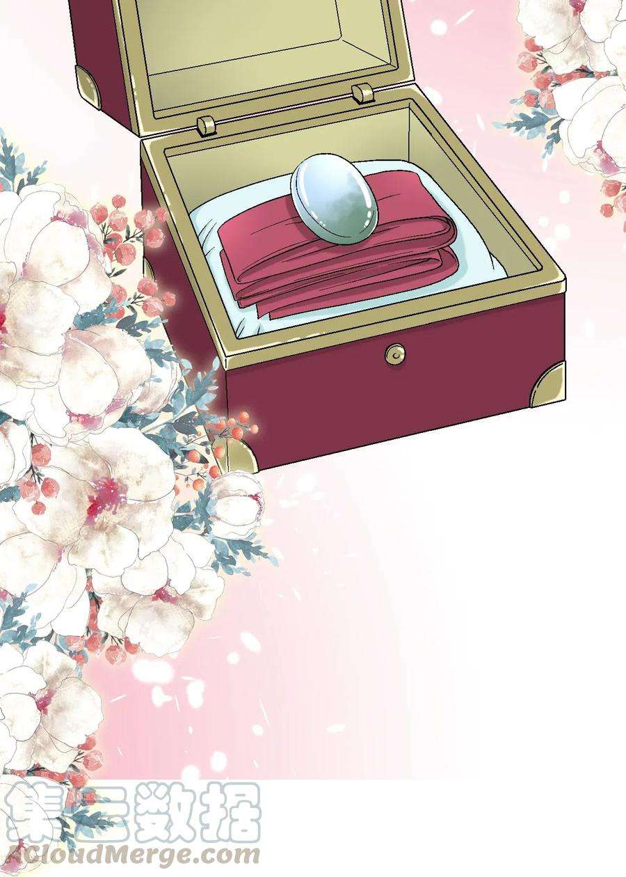 花雨谣34 新的头带