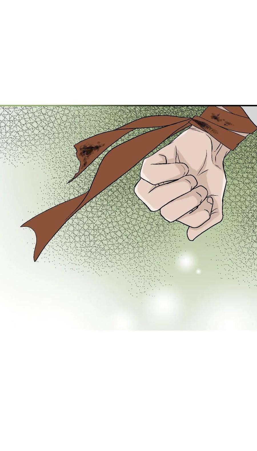 花雨谣34 新的头带