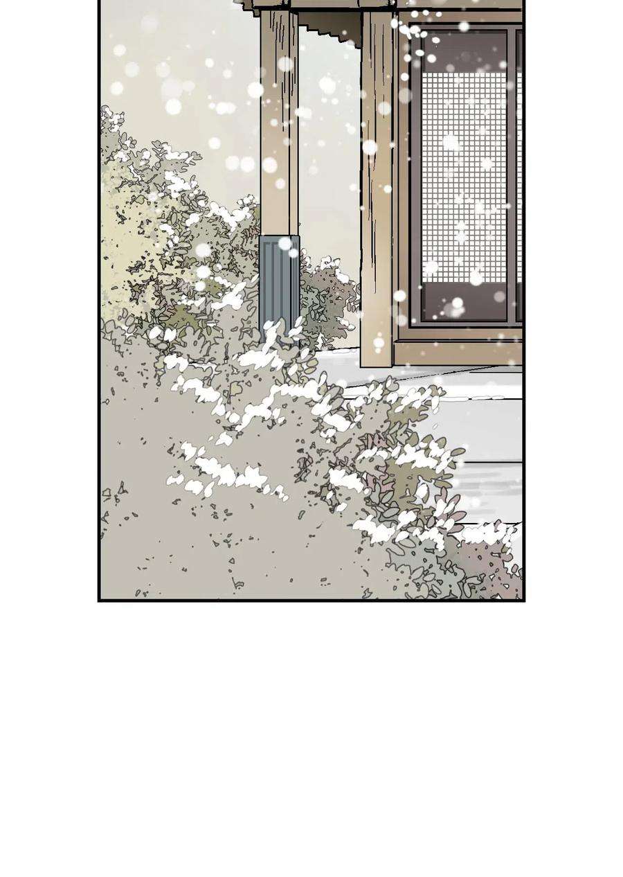 花雨谣49 卧床不起