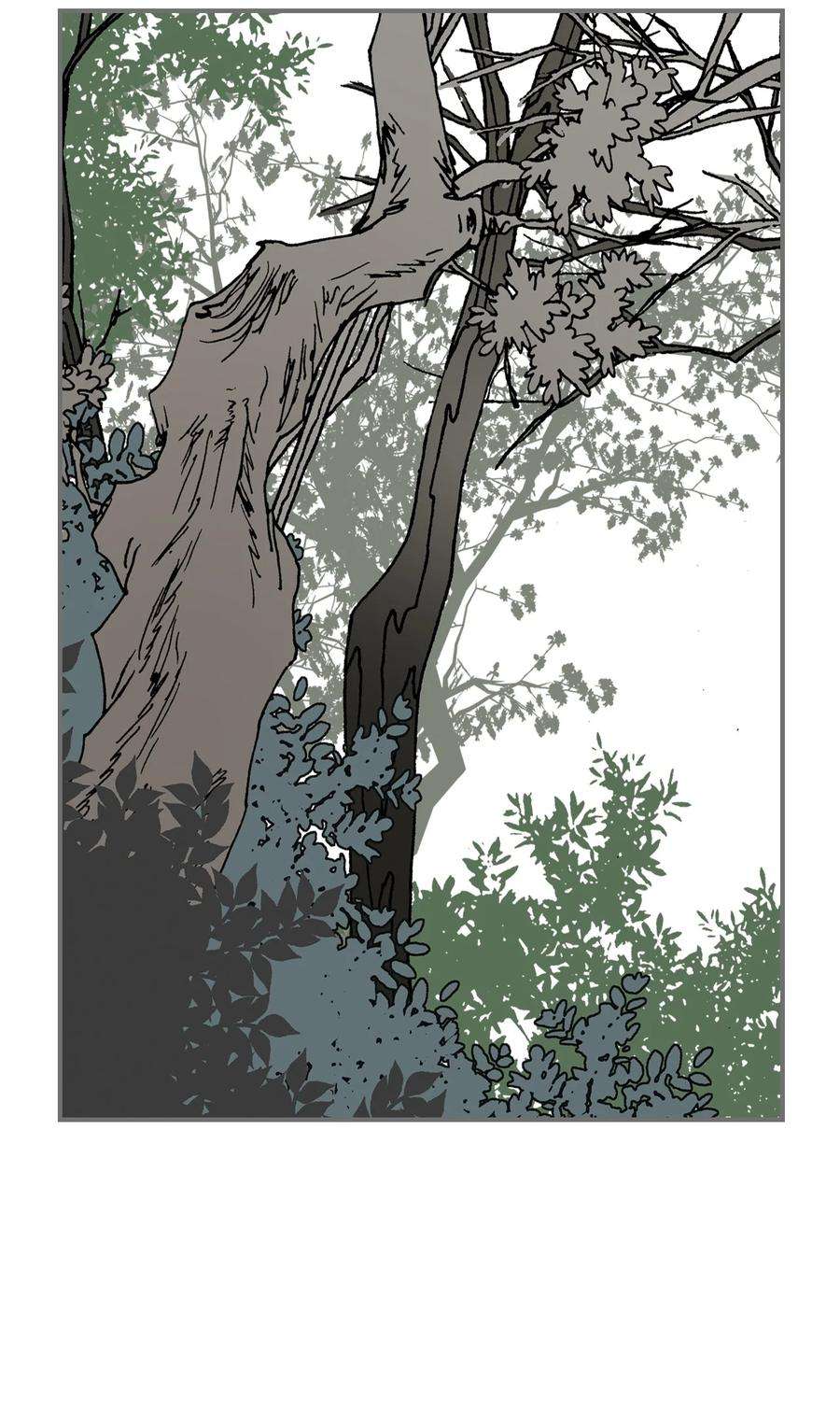 花雨谣105 久别重逢