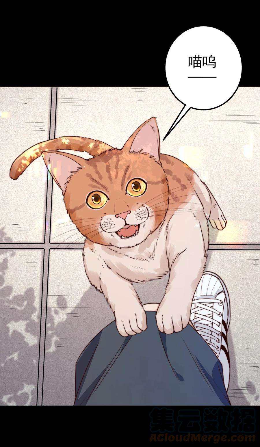 逃生游戏14话 救猫咪