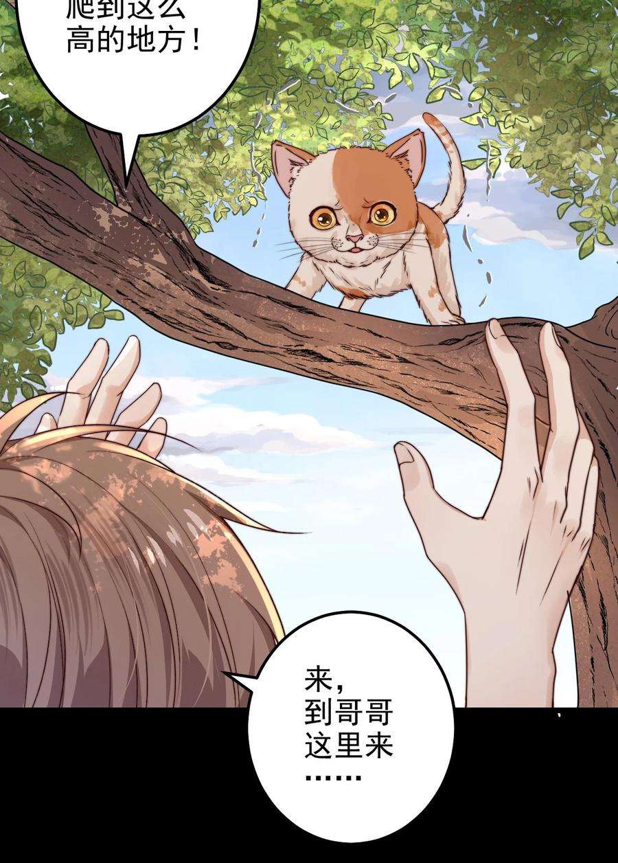 逃生游戏14话 救猫咪