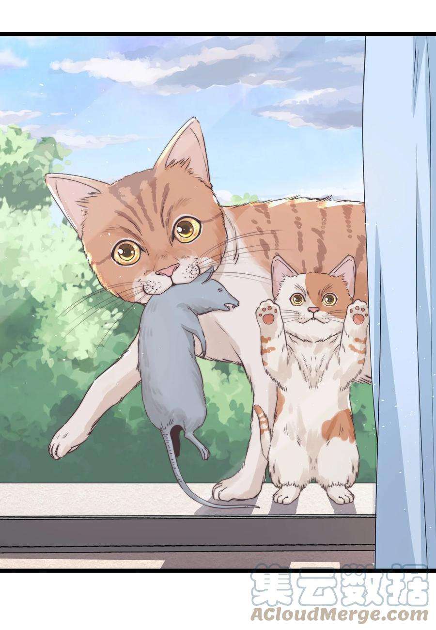 逃生游戏14话 救猫咪