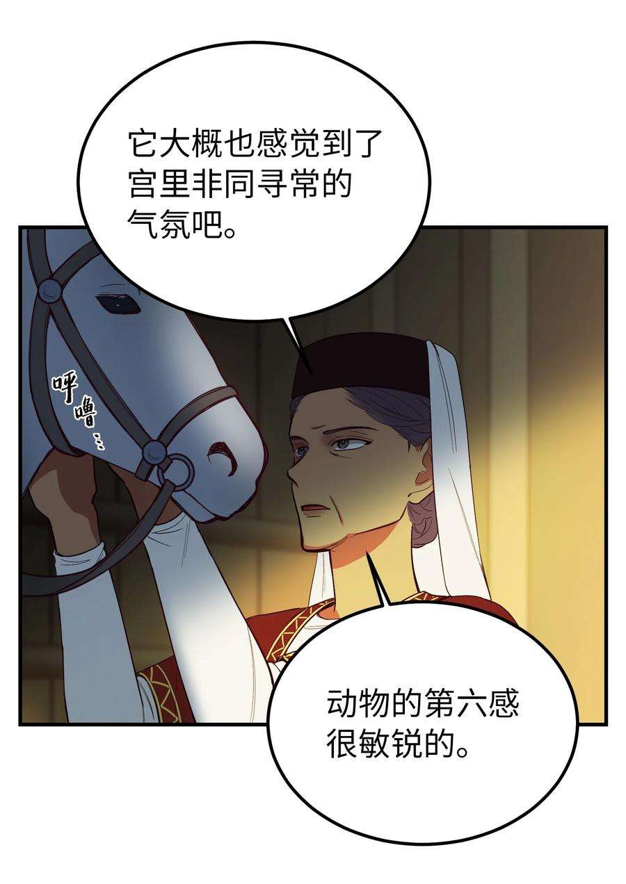 神灯里的魔女75 误伤