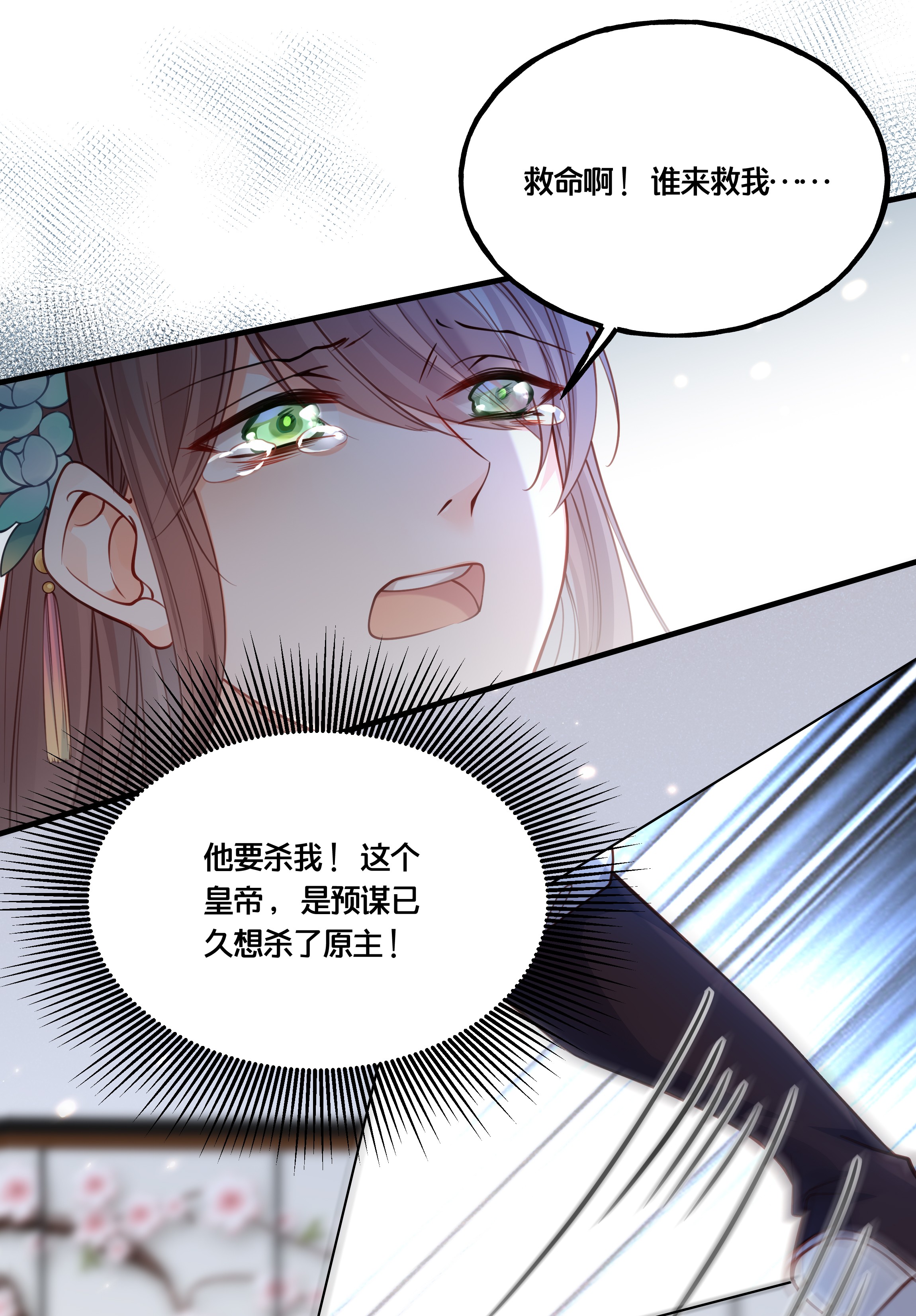 我不要宫斗啊010 他只是个兄控