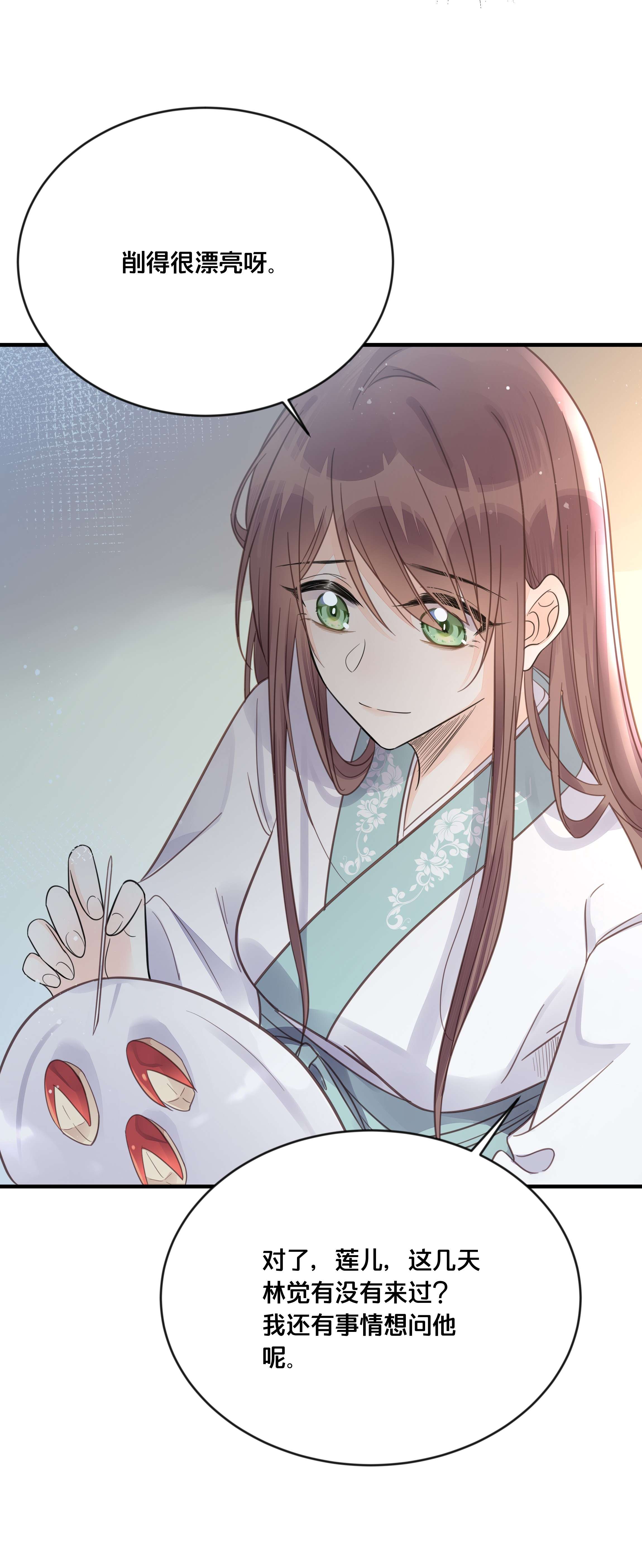 我不要宫斗啊052 他疯了