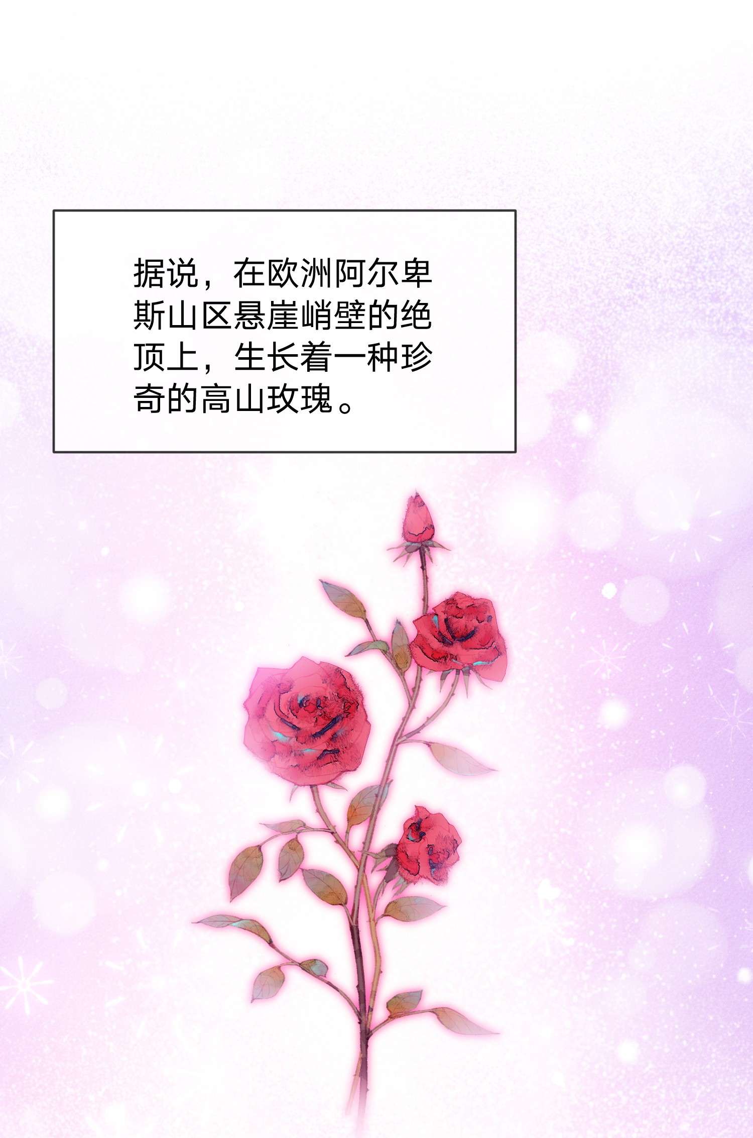 我不可能喜欢他024 纸玫瑰
