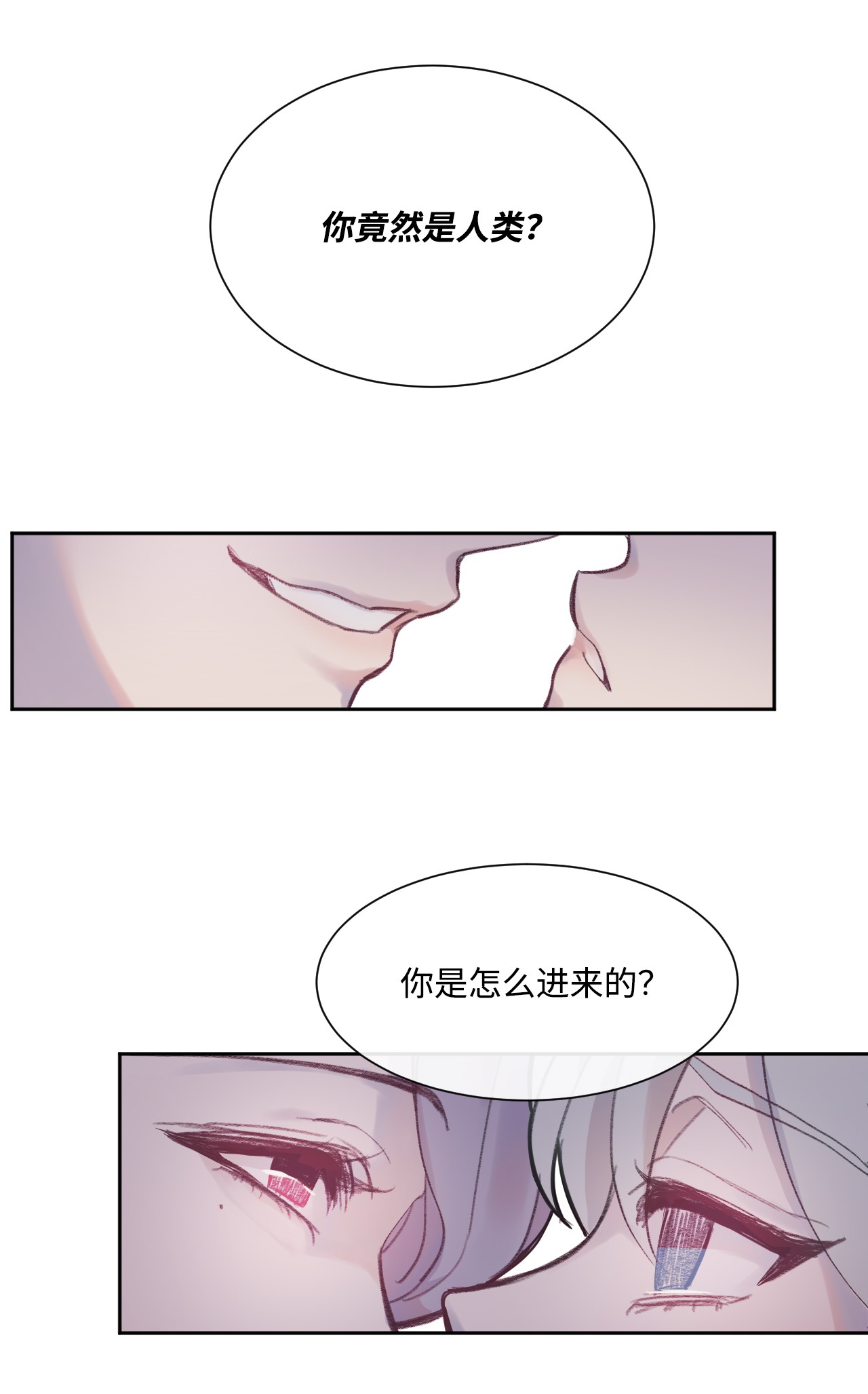 蘑菇汤03 混血