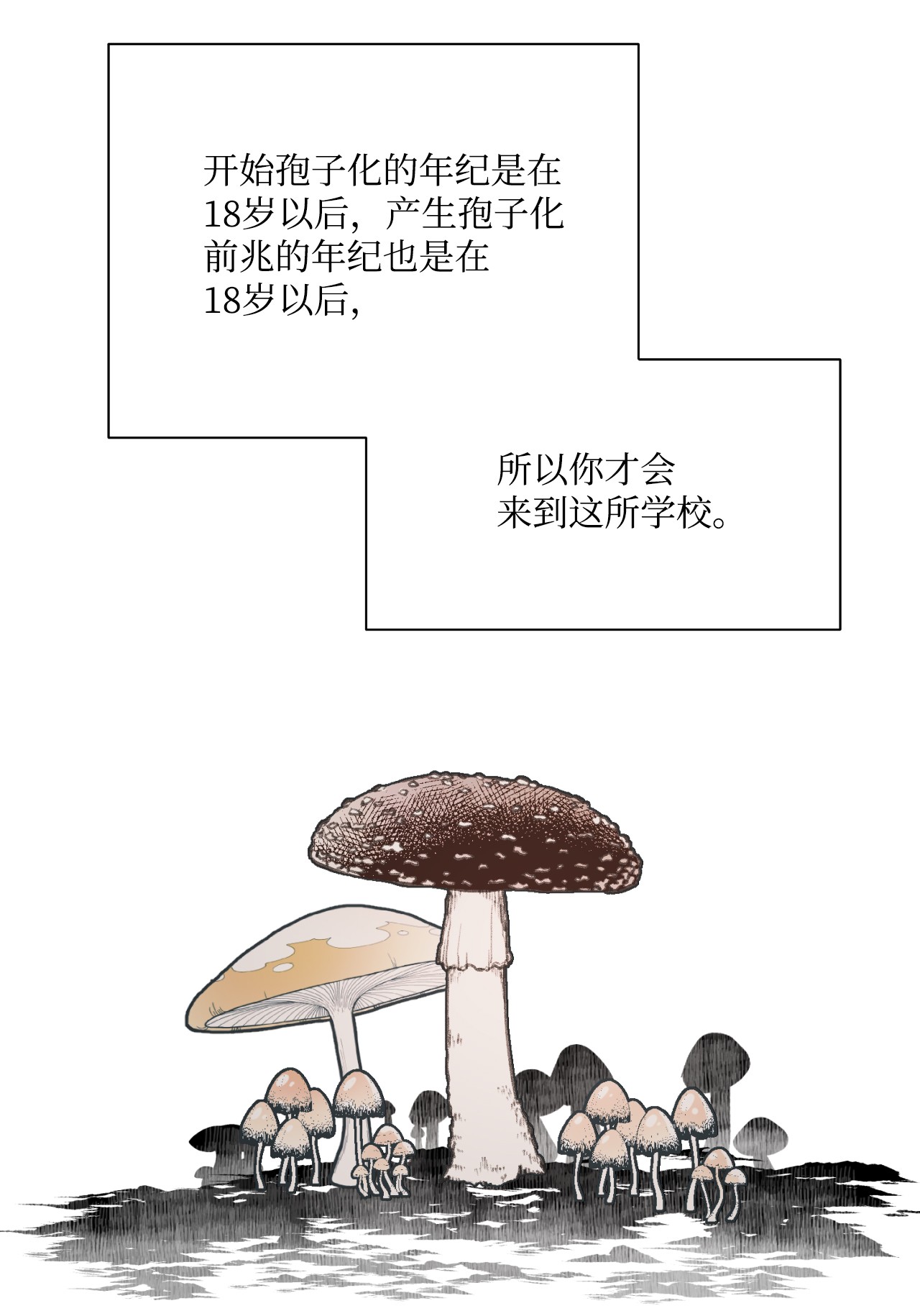 蘑菇汤08 孢子化