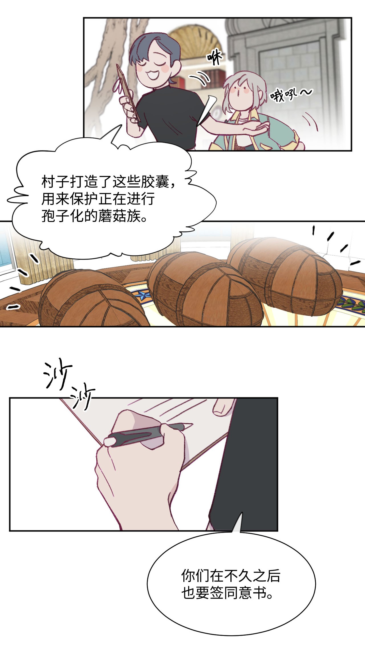 蘑菇汤11 胶囊