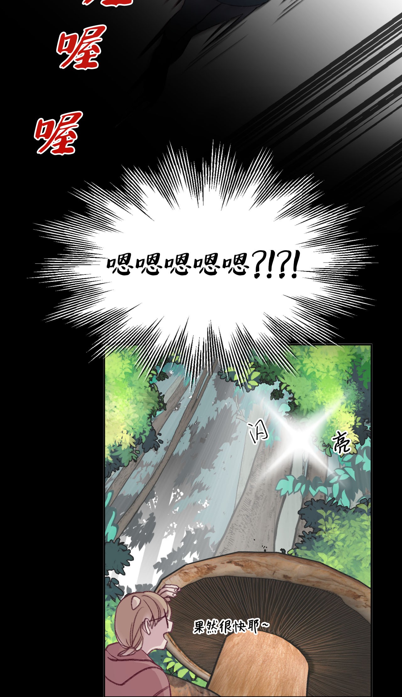 蘑菇汤12 特殊方法