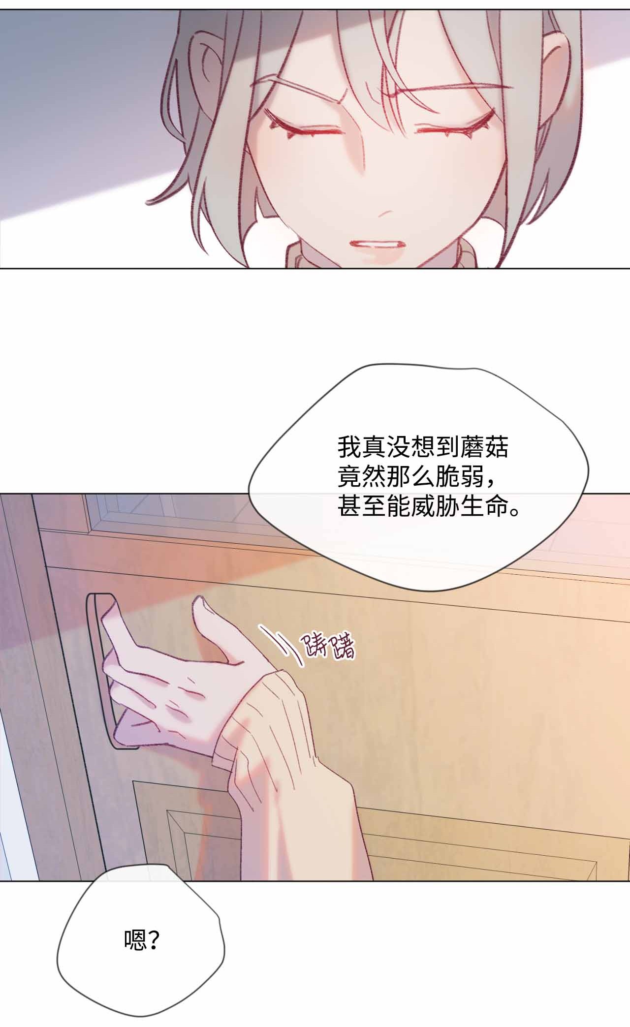 蘑菇汤23 意想不到的蘑菇族常识