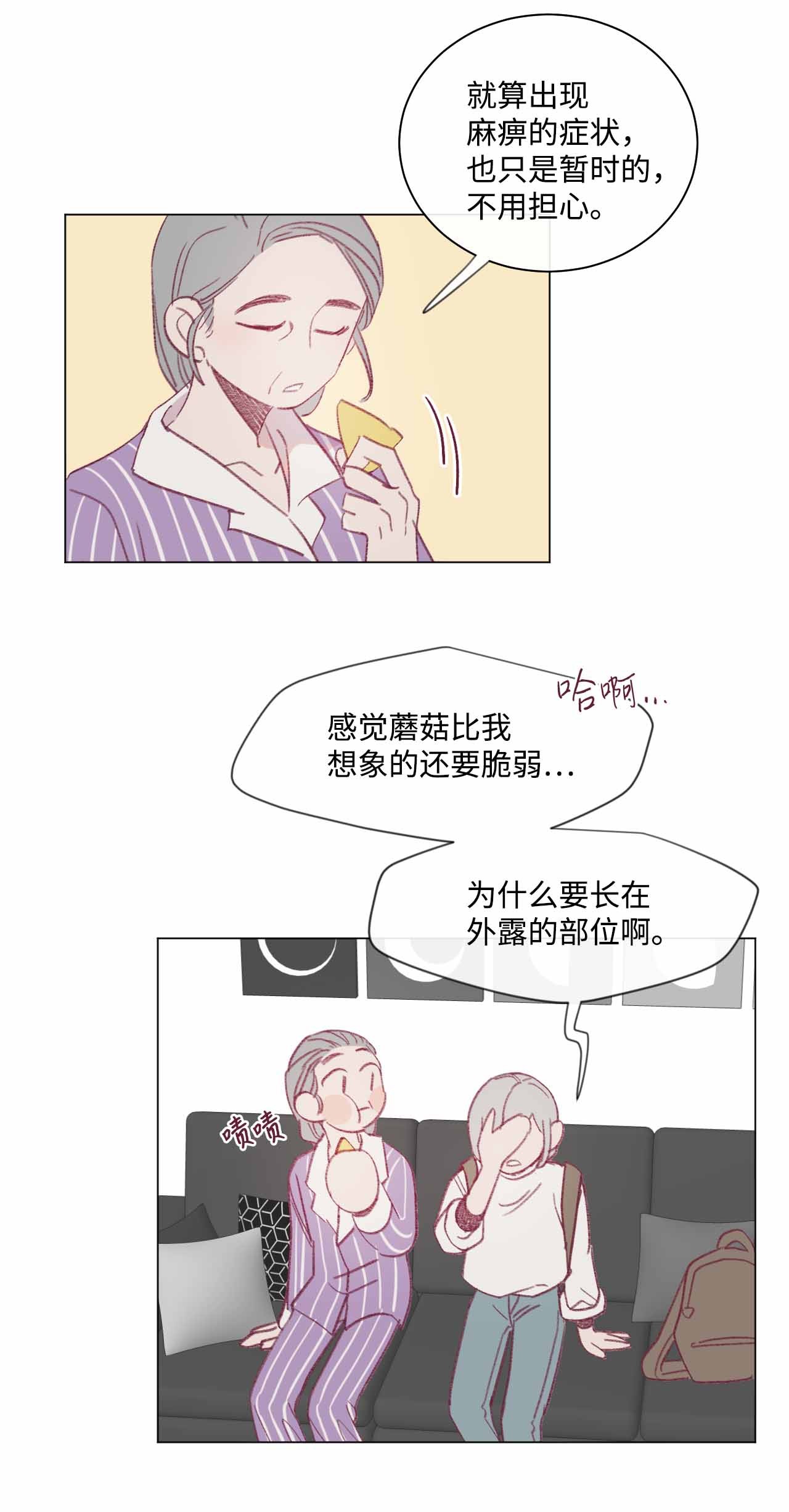 蘑菇汤23 意想不到的蘑菇族常识