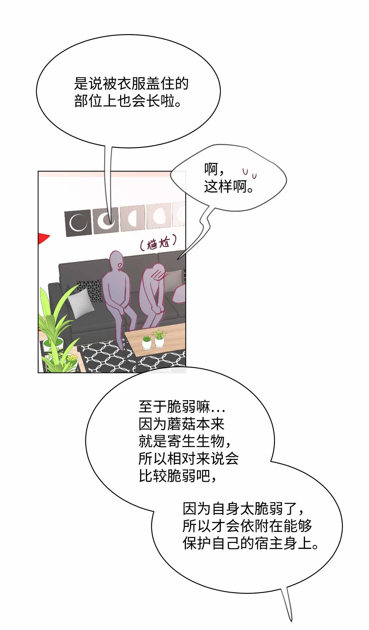 蘑菇汤23 意想不到的蘑菇族常识