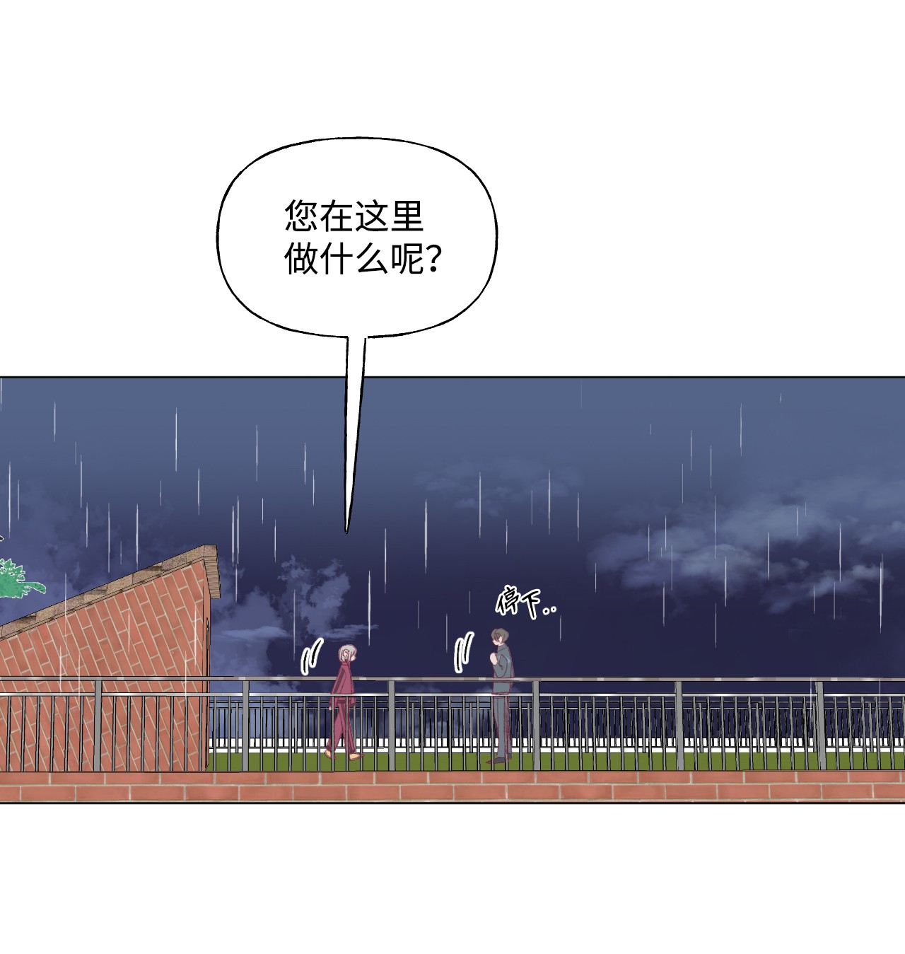 蘑菇汤36 来一根