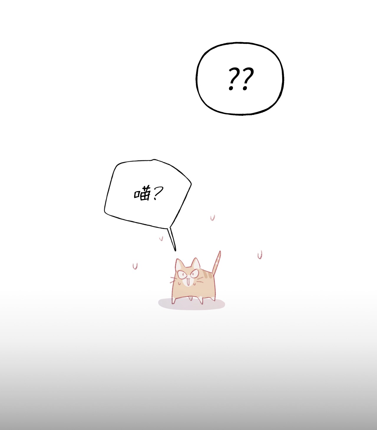 蘑菇汤59 喵？