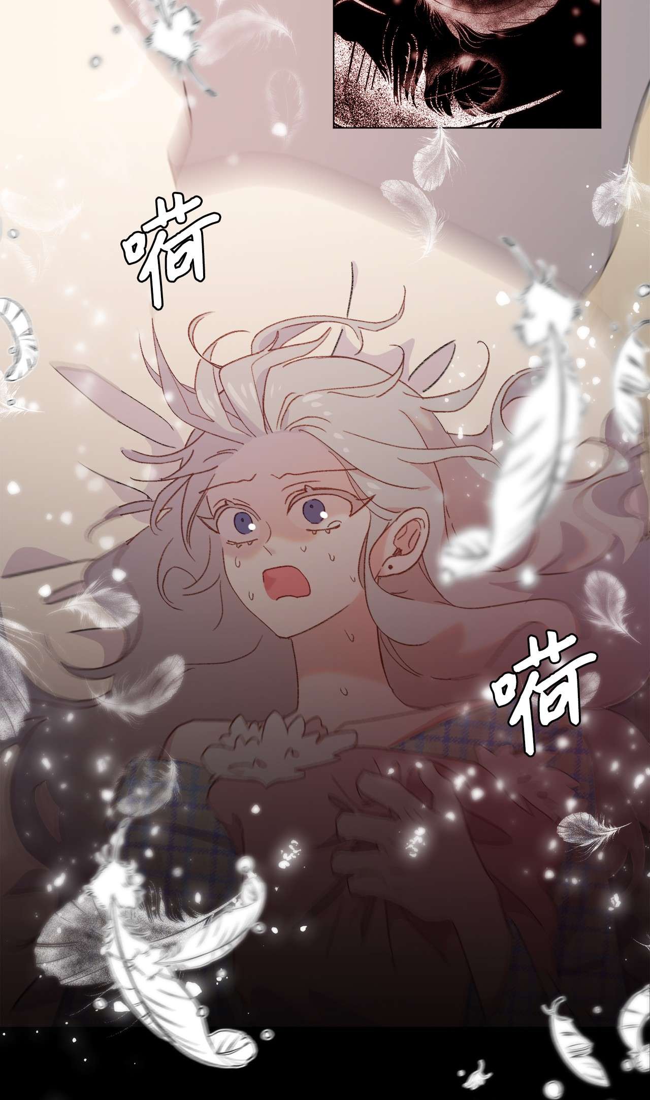 蘑菇汤102 涩气