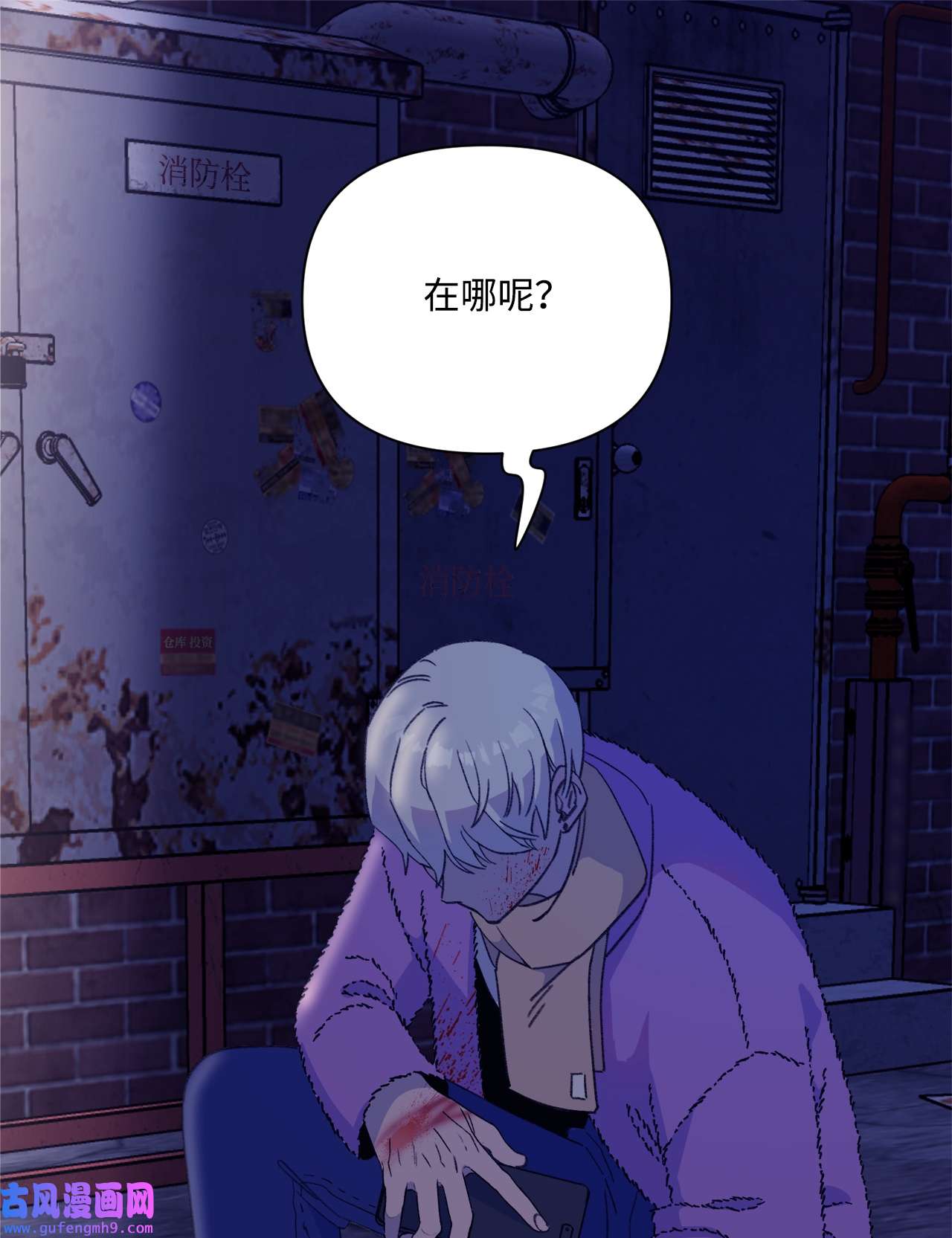 蘑菇汤107 小作文
